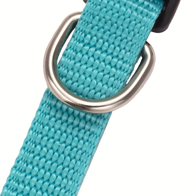 Halsband med Bandana