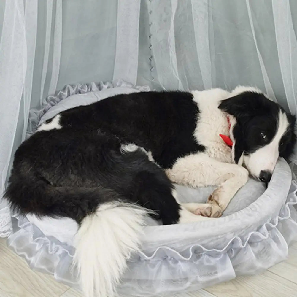 Dekorativ hund bädd.