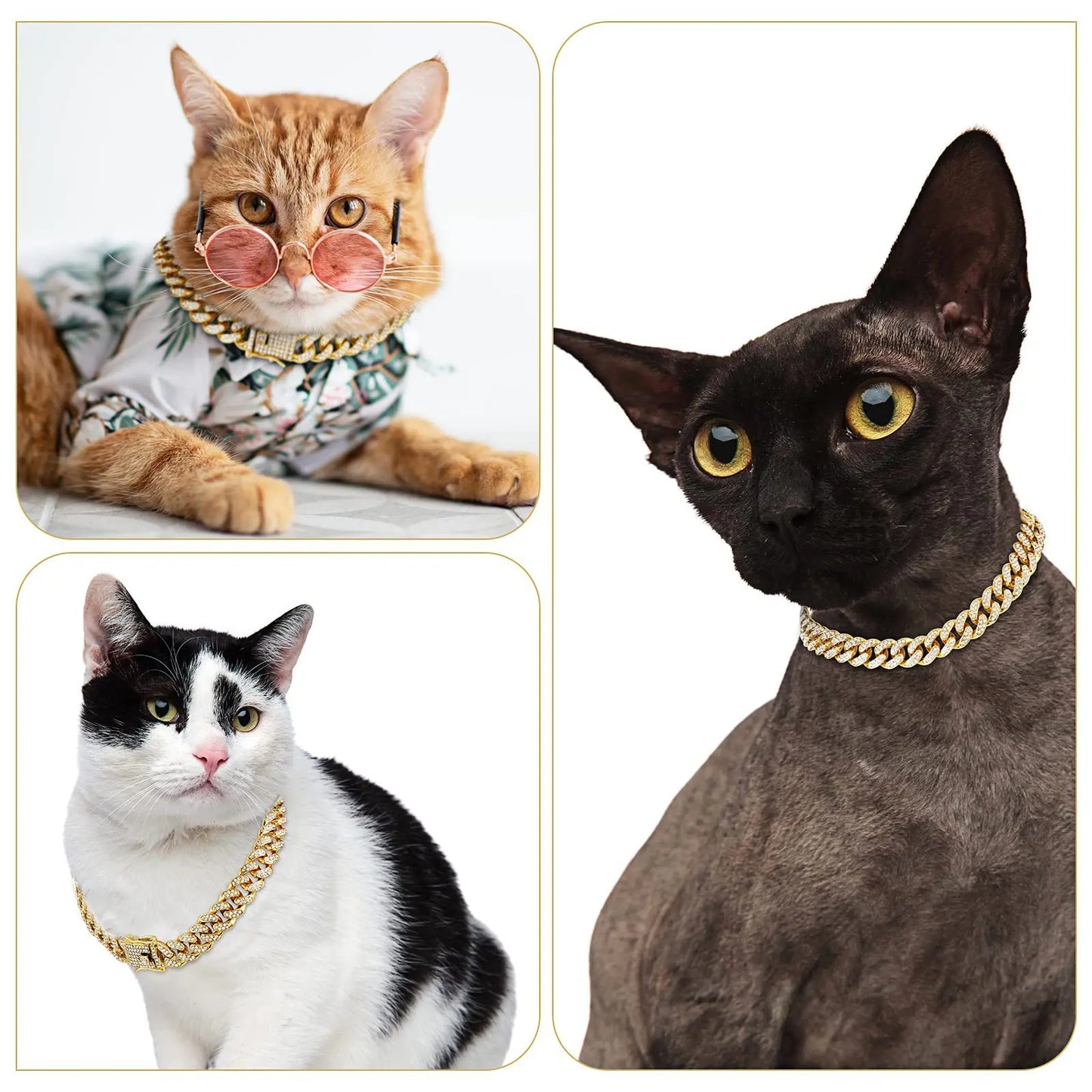 Halsband. Guldfärgad kedja med strass. Hund / Katt
