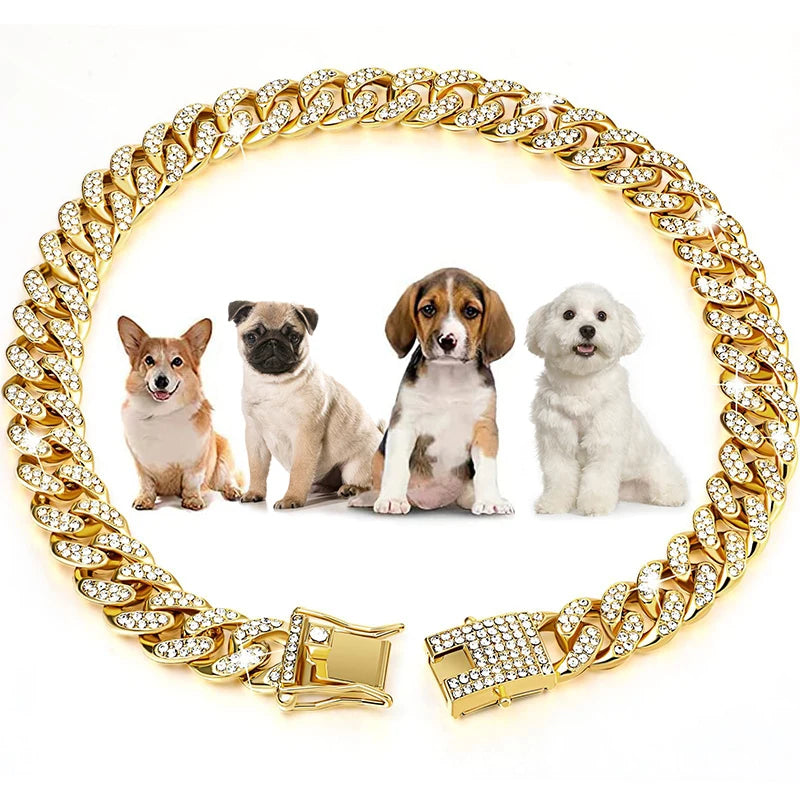 Halsband. Guldfärgad kedja med strass. Hund / Katt