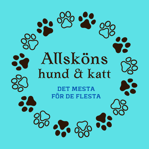 Allsköns Hund och Katt